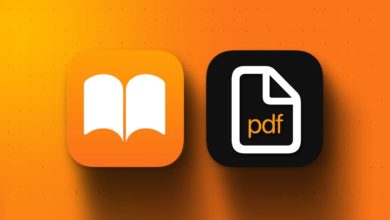 كيفية إضافة ومشاركة ملفات PDF في Apple Books على iPhone و iPad 45 كيفية إضافة ومشاركة ملفات PDF في Apple Books على iPhone و iPad